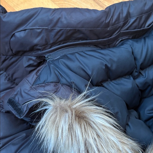 • Marmot• - Picture 10 of 10